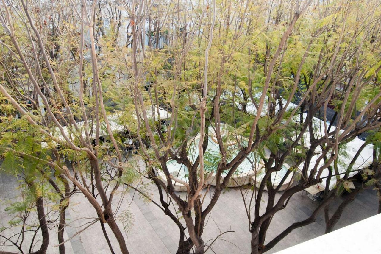 El Mirador Del Mentidero Apartment